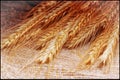 A bunch of golden ears of rye on a fabric of coarse linen threads. Royalty Free Stock Photo