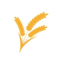 Bunch of golden wheat Royalty Free Stock Photo