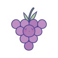 Bunch grape fruits cartoon food cute flat style icon