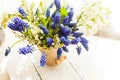 Bunch of grape hyacinths in a ceramic vase Royalty Free Stock Photo