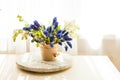 Bunch of grape hyacinths in a ceramic vase Royalty Free Stock Photo