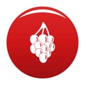 Bunch grape icon vector red