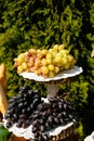 Bunch of grape on wooden stand outdoor winemakers