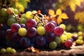 bunch of grapes Autumn harvest bokeh. ai generative Royalty Free Stock Photo