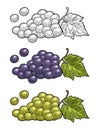 Bunch of grapes with berry and leaves. Vintage engraving vector Royalty Free Stock Photo