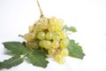 Bunch of grapes Royalty Free Stock Photo
