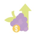 Bunch grapes fruits demand money up arrow, rising food prices, flat style icon