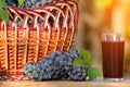 Bunch of grapes and a glass of grape juice, a wicker basket with grapes in the sun