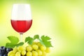 Bunch grapes with green fresh leaves and glass red wine on green Royalty Free Stock Photo