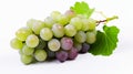 Bunch of grapes with green leaves isolated on a white background Royalty Free Stock Photo