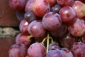 Bunch of grapes hanging on a brick wall an old, country house.