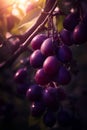 Bunch of grapes hanging from tree branch in the sun. Generative AI Royalty Free Stock Photo