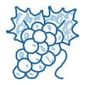 bunch of grapes icon vector outline illustration Royalty Free Stock Photo