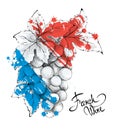 Bunch of grapes - the symbol of France.