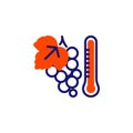 Bunch of Grapes and thermometer line icon