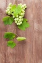 Bunch of grapes and vine on wooden table Royalty Free Stock Photo