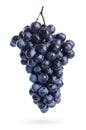 Bunch of grapes with water drops, isolated