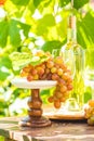 Bunch of grapes with water drops on the table. Wine glasses and bottle of wine. Sunny garden with vineyard background Royalty Free Stock Photo