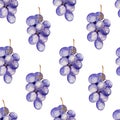 Bunch of grapes watercolor seamless pattern Royalty Free Stock Photo