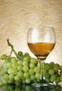 Bunch of grapes and white wine