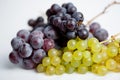 Bunch of grapes Royalty Free Stock Photo