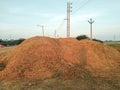 Bunch of grass in field side of village Royalty Free Stock Photo