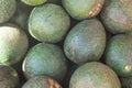 Bunch of green Avocados. Royalty Free Stock Photo