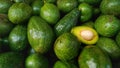 Bunch of Green Avocados Royalty Free Stock Photo