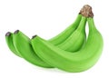 Bunch of green bananas isolated on white background. Tropical banana bunch Royalty Free Stock Photo