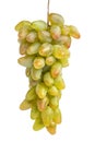 bunch of green beautiful grapes isolated on a white background Royalty Free Stock Photo
