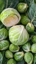 A bunch of green cabbage with one piece cut off Royalty Free Stock Photo