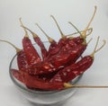 Bunch of green chillies filled in glass bowl