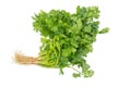 Bunch of green Coriander,cilantro,Parsley leaves Coriandrum sativum isolated on white background Royalty Free Stock Photo