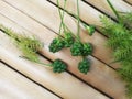 Bunch of Green Coriander Seeds Decorated with Green Grass on Bamboo Surface