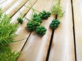 Bunch of Green Coriander Seeds Decorated with Green Grass on Bamboo Surface