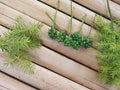 Bunch of Green Coriander Seeds Decorated with Green Grass on Bamboo Surface