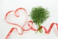 A bunch of green dill with a tape measure in the shape of a heart Royalty Free Stock Photo