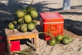 A bunch of green drinking coconuts on the background of a sandy beach Royalty Free Stock Photo