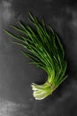 A bunch of green fresh onions or scallion on a dark background, top view Royalty Free Stock Photo