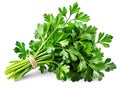 Bunch of green fresh parsley isolated on white background close-up. Royalty Free Stock Photo