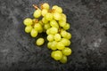A bunch of green grape on a marble dark background. Volumetric winery. A bunch of green grape bush Royalty Free Stock Photo