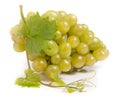 Bunch of green grapes with leaf isolated on white background Royalty Free Stock Photo