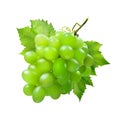 Bunch of green grapes with leaves isolated on white background Royalty Free Stock Photo