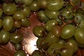 Bunch of green grapes with overripe berries