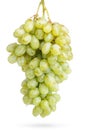 Bunch of green grapes with water drops, isolated