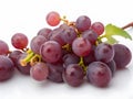 Bunch of red grapes with water drops on a white background. Royalty Free Stock Photo