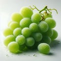 Bunch of green grapes with water drops on a white background. Royalty Free Stock Photo