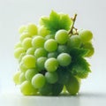 Bunch of green grapes with water drops on a white background. Royalty Free Stock Photo