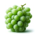 Bunch of green grapes with water drops on a white background Royalty Free Stock Photo