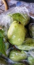 A bunch of green guavas wrapped in plastic. fresh of green guava fruits.